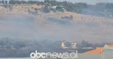 VIDEO/ Zjarri përfshin kodrat me ullinj në Karbunarë të Lushnjes, ndërhyrje nga toka dhe ajri