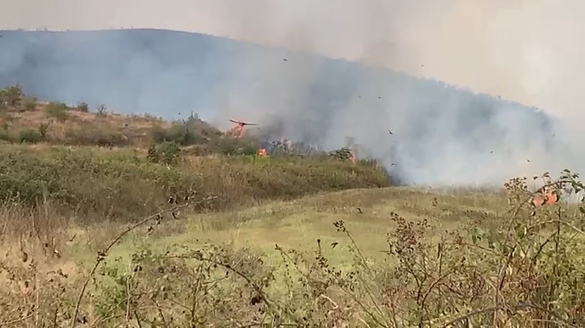 VIDEO/ Zjarr në Zadrimë të Lezhës, shërbimet zjarrfikëse në vendndodhje për shuarjen e flakëve