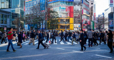 Në Japoni, gjithnjë e më shumë beqarë po vdesin në shtëpi