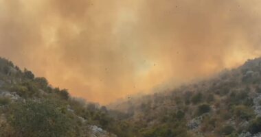 VIDEO/ Lezhë, mali i Kakarriqit prej dy ditësh nën ‘pushtimin’ e flakëve, nënkryetari i bashkisë: Banesat nuk rrezikohen