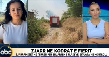 VIDEO/ Zjarr në kodrat e Fierit, zjarrfikësit në vendngjarje. Situata në kontroll
