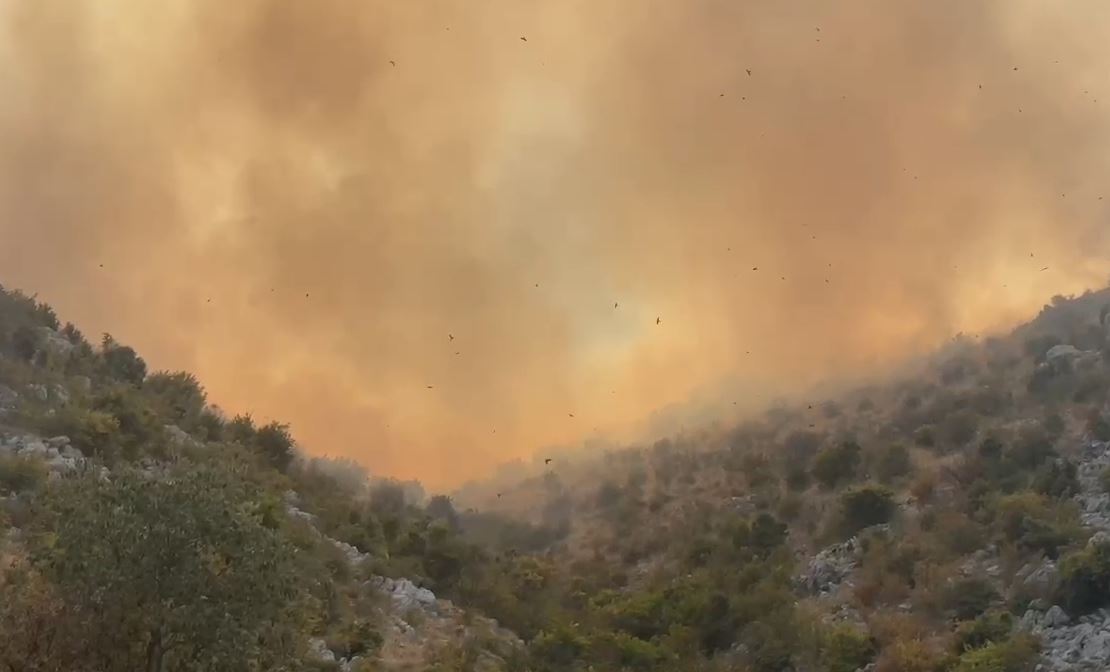 Situata e zjarreve/ Lezhë, ende aktive vatra e zjarrit në malin e Kakarriqit