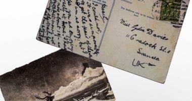 Kartolina mbërriti në destinacionin e saj 120 vjet më vonë