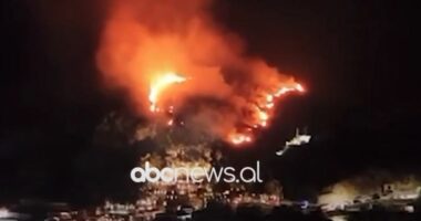 Ndezi fishekzjarre dhe shkaktoi zjarr duke djegur hapësirë të pyllëzuar/ Pranga të riut në Dhërmi