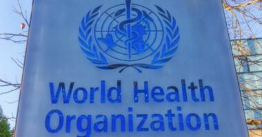 OBSH raporton rastin e parë të poliomielitit në 25 vite në Gaza