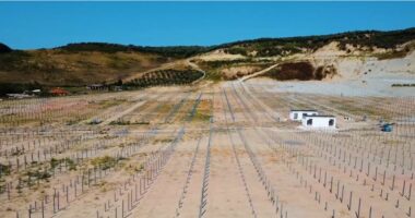 Rama ndan pamje nga fusha e ish fabrikës së tullave në Lushnje: Nga një gangrenë plehrash në një park prodhimi energjie diellore