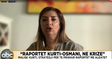 “Raportet Kurti-Osmani në krizë”, Maliqi: Kryeministri kërkon të çojë Kosovën drejt izolimit