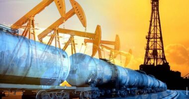 Çmimet e naftës pritet të bien në 80 dollarë për fuçi në vitin 2025