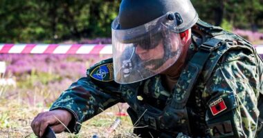 NATO vlerëson ekspertët shqiptarë të asgjësimit të mjeteve shpërthyese