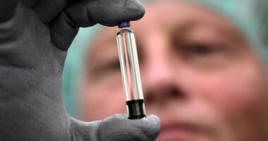 Sanofi francez investon 1.3 miliardë euro në Frankfurt