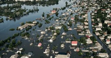 Mjedisi, viktimë e heshtur e luftës në Ukrainë