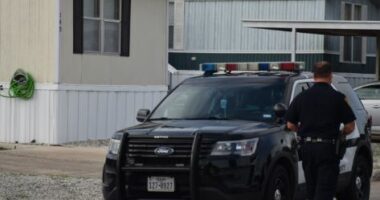 Tragjike në SHBA/ 5-vjeçari vret veten aksidentalisht me armë