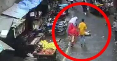 Tragjike/ Po ecte më të ëmën kur një qen bie mbi të nga kati i pestë, humb jetën 4 vjeçarja