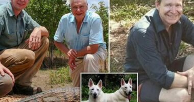 Abuzoi seksualisht me më shumë se 40 qen, zoologu britanik dënohet me 10 vite burg