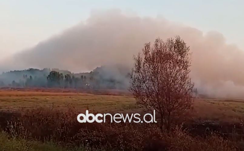 VIDEO/ Zjarr në Borizanë të Krujës, zjarrfikset në vendngjarje për shuarjen e flakëve