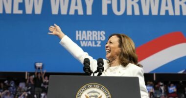 Zgjedhjet në SHBA/ Kamala Harris: Mendoj se jam e duhura pavarësisht racës apo gjinisë