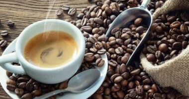 Çmimi i kafesë arrin nivelin më të lartë në 13 vite