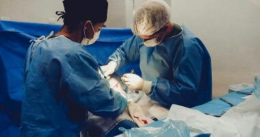 Horror në Francë/ Mjeku akuzohet se vriste pacientët për t’u hakmarrë ndaj kolegëve të tij