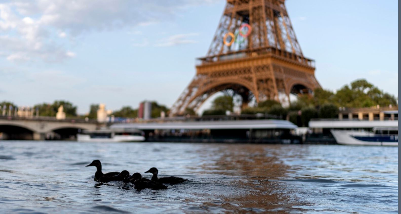 Lojërat Olimpike në Paris, anulohet prova për maratonën e notit mes shqetësimeve për cilësinë e ujit në lumin Senë