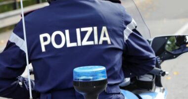 Shkon për të vjedhur, por lexon një libër/ Hajduti kapet nga i zoti i shtëpisë