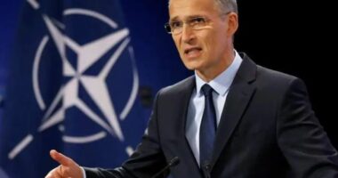 Stoltenberg “justifikon” sulmet ukrainase në territorin rus: Kievi ka të drejtë të mbrohet