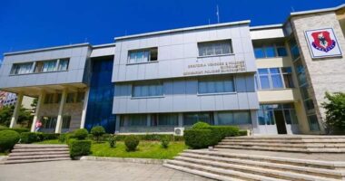 Shkeli urdhrin e mbrojtjes dhe kanosi gruan, arrestohet 52-vjeçari në Këlcyrë