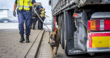 Mashtruesit nën petkun  e një polici/ Rritet numri i incidenteve në Holandë