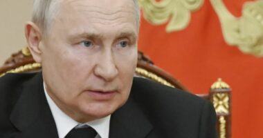 Putin bisedë telefonike më kryeminstrin e Indisë