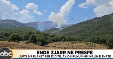 Ende zjarr në Prespë/ Luftë me flakët për 12 ditë, avion rumun mbi Malin e Thatë