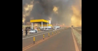 VIDEO/ Brazil, dy të vdekur nga zjarret që kanë përfshirë vendin, autoritetet në gatishmëri