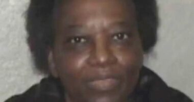 Vodhi ushqim me vlerë 1.5 milionë dollarë, dënohet me 9 vjet burg punëtorja e shkollës