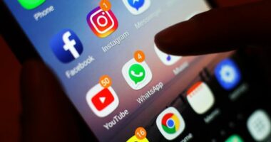 “Fëmijët të pasigurtë në internet”/ “IWF”: Imazhe pornografike shpërndan në Whatsapp