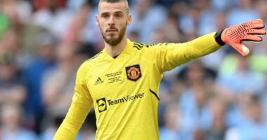 De Gea në Seria A? Portieri spanjoll pranë marrëveshjes me ekipin italian