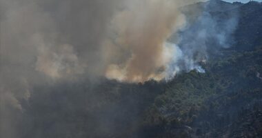 Portugali, zjarret “shkrumbojnë” ishullin turistik