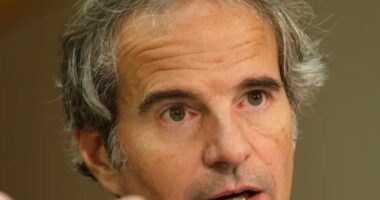 Zyrtari i lartë i OKB-së viziton centralin bërthamor në Kursk