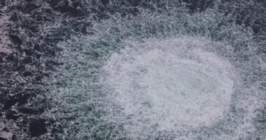 Skepticizëm mbi akuzat se Ukraina është pas sulmit në ‘Nord Stream’