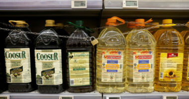 Spanjollët po kalojnë nga vaji i ullirit te vaji i lulediellit për shkak të kostos së lartë