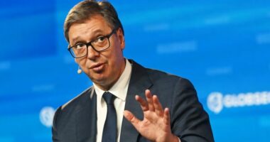 Vuçiç mohon se ka raporte të ngushta me Putinin