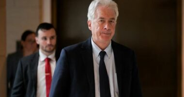 Drejtori i CIA-s pas Sarajevës viziton edhe Beogradin