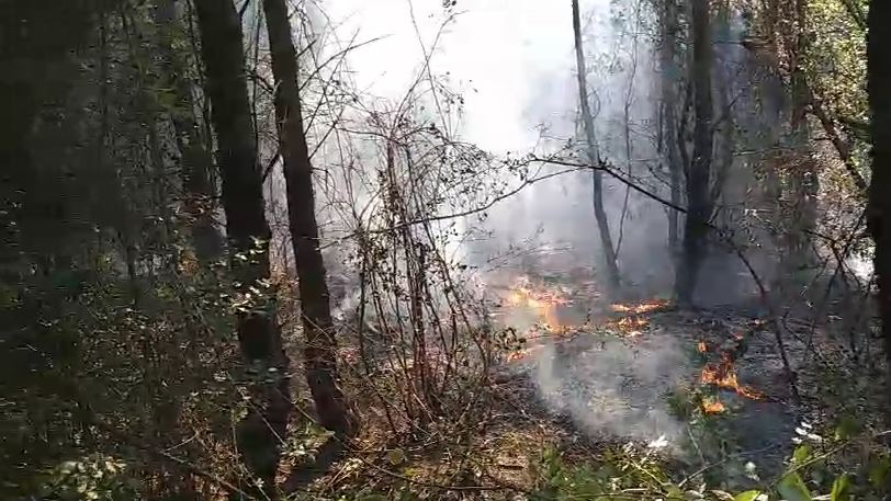 VIDEO/ Krujë, riaktivizohet zjarri në zonën e Krastës