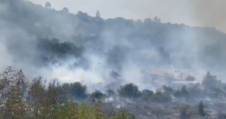 VIDEO/ Kukës, zjarri në malin e Gjalicës, zjarrfikësit neutralizojnë flakët