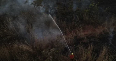 Vihen nën kontroll zjarret në Brazil/ Nuk ka më asnjë vatër aktive