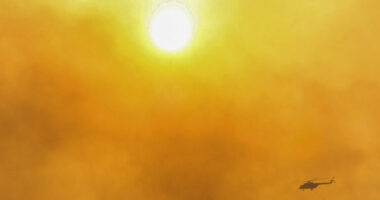 Turqia në luftë me flakët/ Zjarri përfshin shtëpitë në periferi të Izmirit