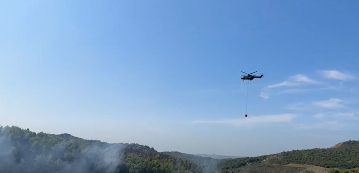 Zjarri në Mengaj të Kavajës/ Digjen rreth 3 hektarë tokë, ndërhyhet nga ajri