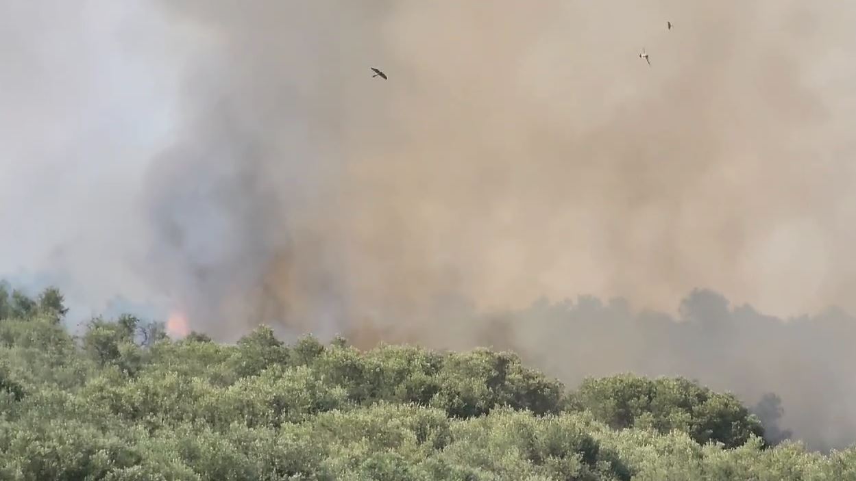 VIDEO/ Zjarr në Frakull të Fierit, terreni vështirëson ndërhyrjen e zjarrfikësve. Ndërhyhet nga ajri