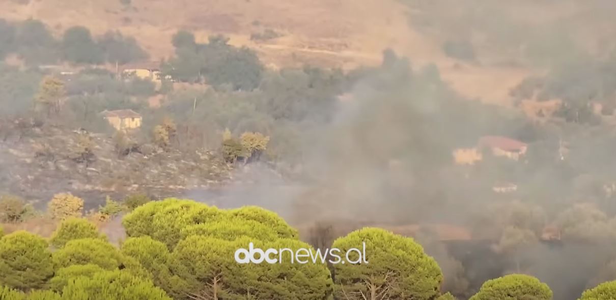 Zjarri në Mallakastër/ Digjen 20 hektarë pyje, mbi 1 mijë rrënjë ullinj dhe 4 shtëpi