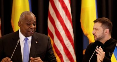 Zelenskyy, thirrje vendeve aleate për ndihmë ushtarake