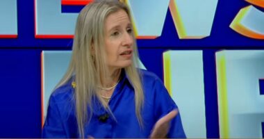 Dëshmitë e koloneles izraelite në Gaza/ Leibovich: Vit shumë i vështirë, në çdo shtëpi ka armë