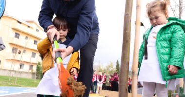 Agjencia Europiane e Mjedisit rendit Tiranën mes top 10 kryeqyteteve me më shumë pemë në Europë