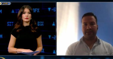 Plani i rritjes për Ballkanin Perëndimor/ Studiuesi: Ngritja e Komitetit të Përbashkët Konsultativ ndihmon vendet që aspirojnë për BE